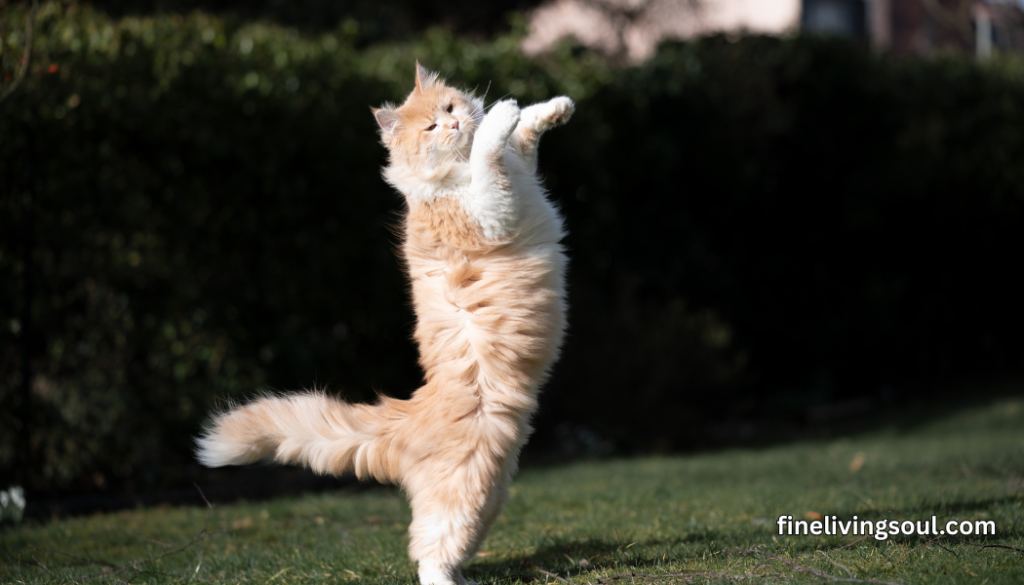 exercise is important for weight loss